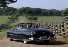 National Park Brijuni National Park Brijuni