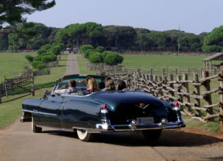 National Park Brijuni National Park Brijuni